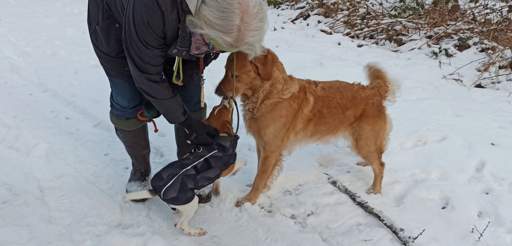 Juna mit Yani im ersten Schnee